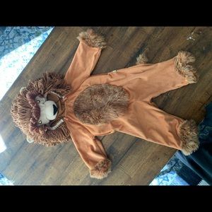 Lion costume